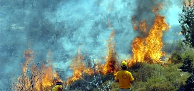Adana'da orman yangını! Ekiplerin canhıraş müdahalesi sonrası kontrol altına alındı