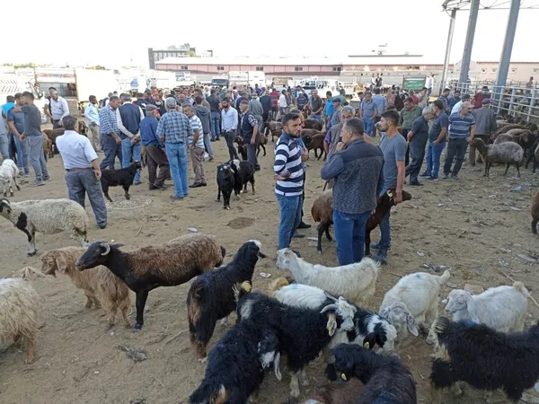 kurban-bayramina-geri-sayim-basladi-kurban-pazarlarinda-hareketlilik-1625818142689.jpg Kurban Bayramı'na geri sayım başladı! Kurban pazarlarında hareketlilik - 1