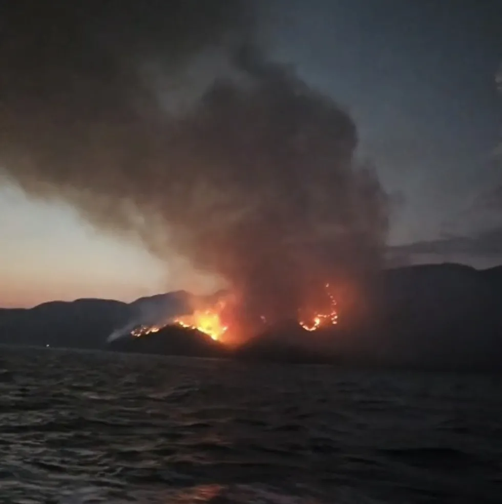 mugla-marmariste-orman-yangini-gokyuzunu-siyah-dumanlar-kapladi-1786833448974.jpg Marmaris'te çıkan orman yangını kontrol altına alındı - 2