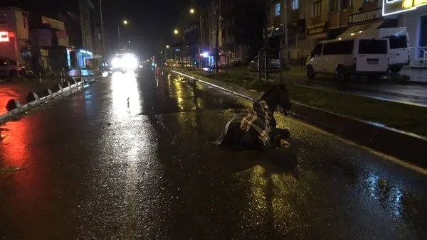 Son dakika: İstanbul Arnavutköy'de minibüs ata çarptı - 1