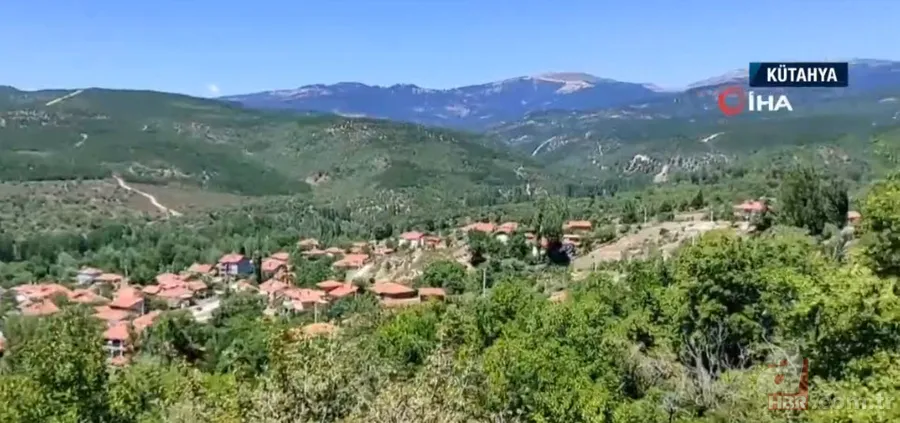 İneklerini otlatan çobana ayı saldırdı! Kelime-i Şehadet getirirken olanlar oldu 2