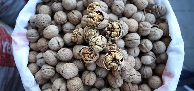 Adilcevaz'da buğday hasadı devam ediyor