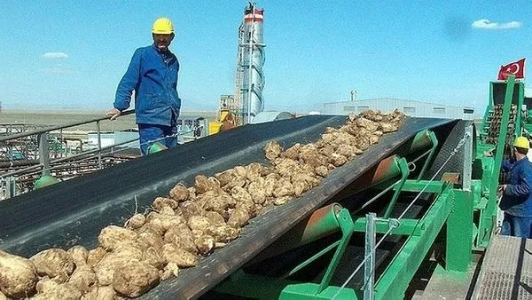 Pancar paraları ne zaman yatacak? 2022 pancar paraları ne zaman yatırılacak? - 2