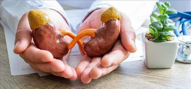 Fazla tuz tüketimi böbrek hastalığı nedeni!
