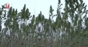 Türkiye’de yeni dönem! Birçok alanda kullanılacak