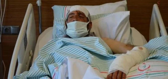 Tunceli’de bir vatandaş ayı saldırısına uğradı: Sıçrayarak üzerime geldi