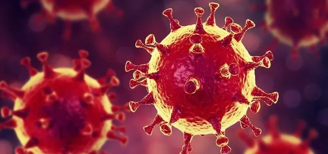 Dünya genelinde koronavirüslü hasta sayısı 5,5 milyonu geçti