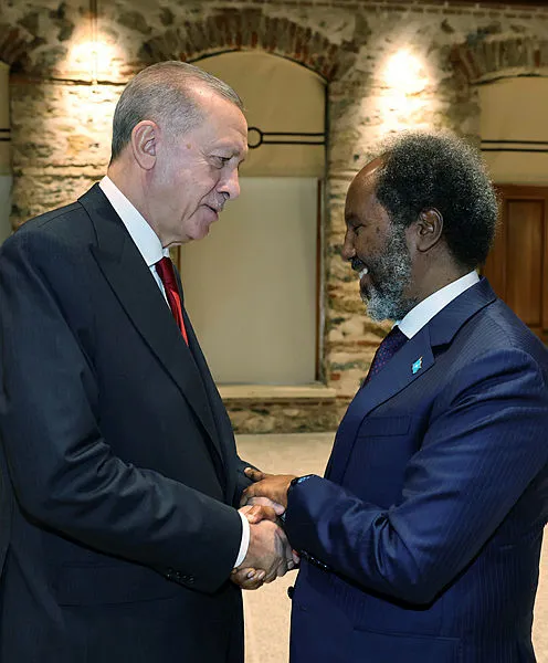 Başkan Erdoğan Somali Cumhurbaşkanı Hasan Şeyh Mahmud ile görüştü! İşte ele alınan konular...