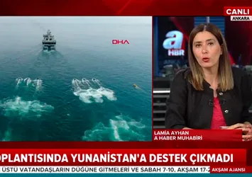 Türkiye'ye kınama çağrısı destek görmedi