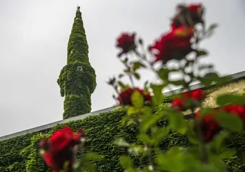 Botanik bahçesi gibi cami