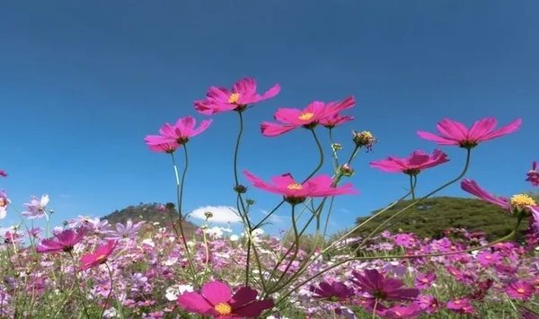 cemre-ne-zaman-duser-2023-ucuncu-cemre-topraga-dustu-mu-ne-zaman-dusecek-1678888266018.jpg Cemre nedir, ne zaman düşer 2023? Üçüncü cemre toprağa düştü mü? İşte tarihi... - 2