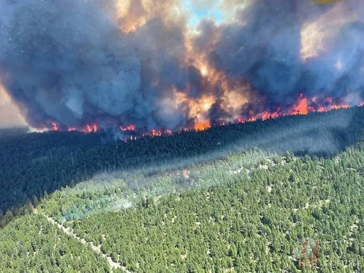 Orman yangınları 2022’de de devam edecek mi? Türkiye’yi gelecekte ne bekliyor? İşte en riskli bölgeler