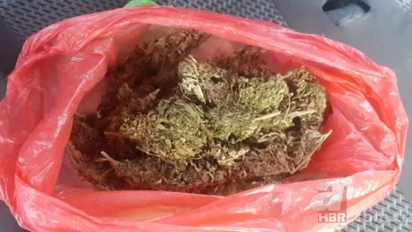 Ormanda kilolarca altın bulundu! 6