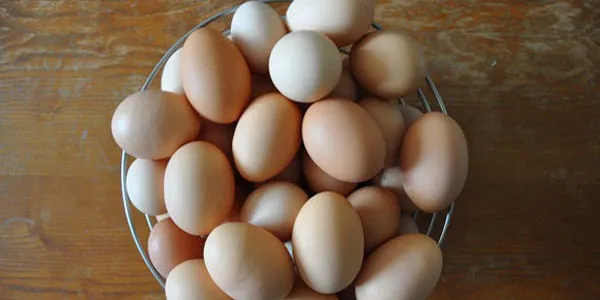 Pandemide yumurtaya talep yüzde 100 arttı