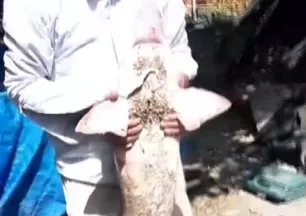 Ucunda 2 milyon lira var! Oltaya takıldı🎣