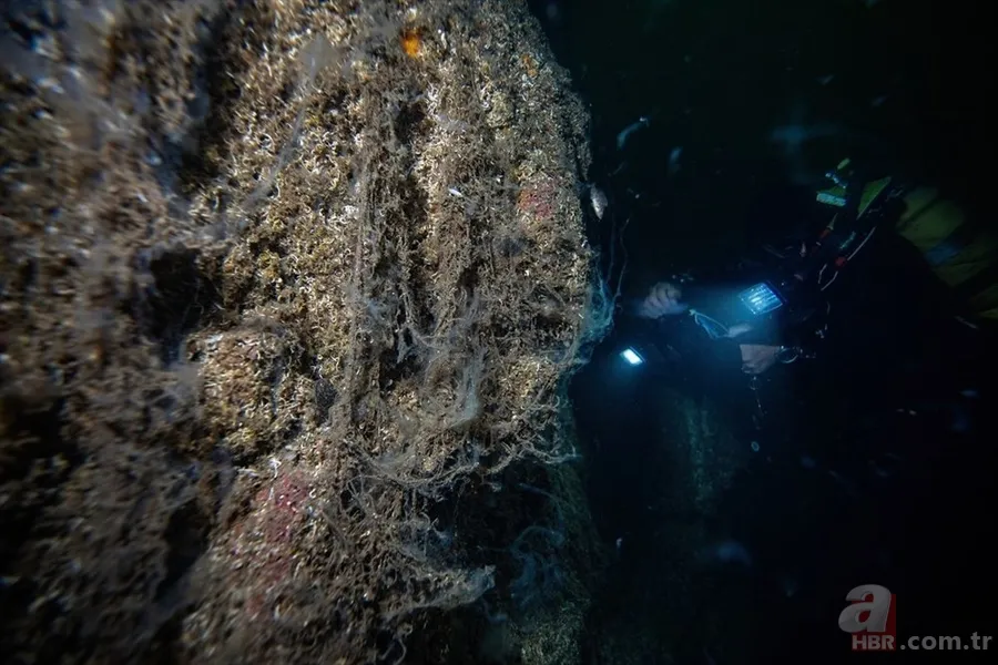 Deniz salyası ABD basınında: Marmara ölüyor! Çevre profesöründen kritik uyarı geldi 14