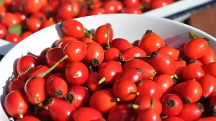 Faydalarını duyunca bardak bardak içeceksiniz! Kilo vermeyi hızlandırıyor...