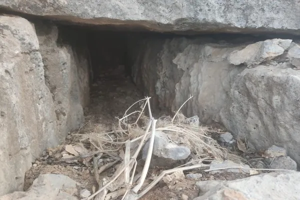 operasyonda-komandolara-eslik-etti-nehirden-gecemeyen-kopege-mehmetcikten-yardim-eli-1610462055368.jpg Operasyonda komandolara eşlik etti! Nehirden geçemeyen köpeğe Mehmetçik'ten yardım eli - 5