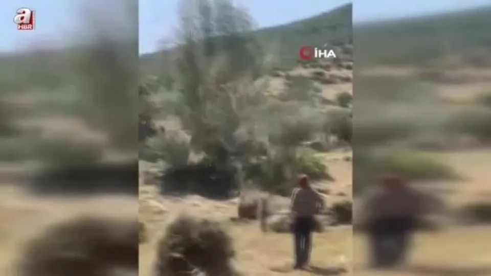 Bingöl’de hortum otları uçurdu