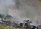 Manisada maki yangını