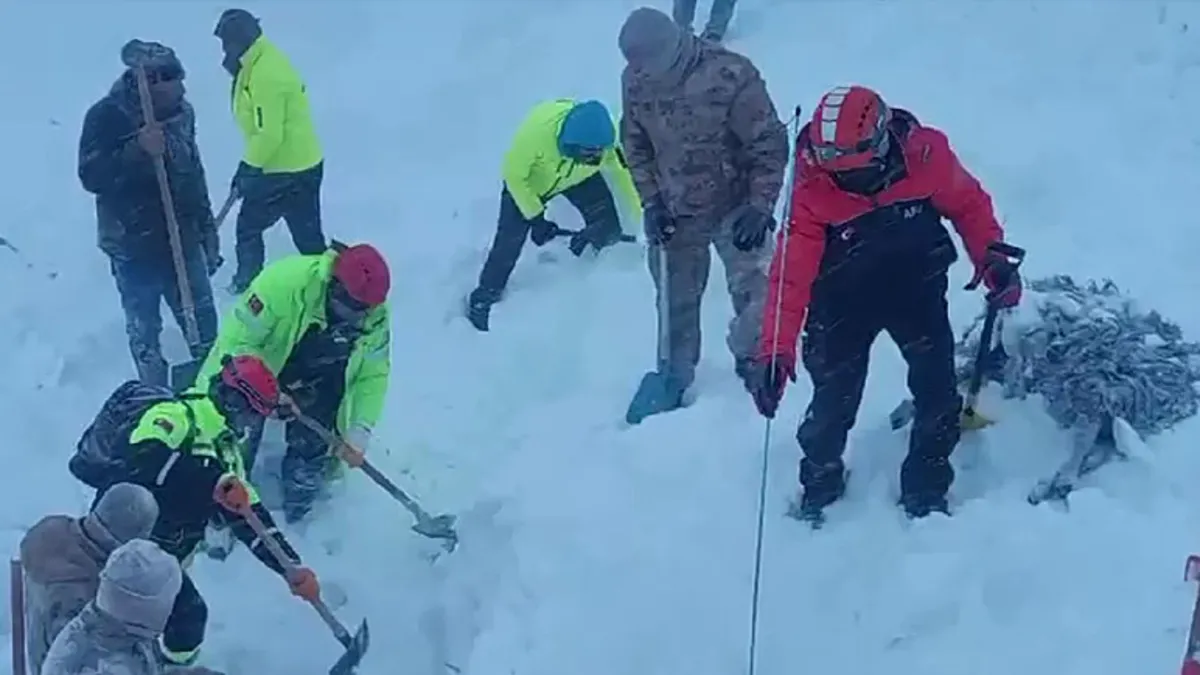 Artvin'de 1 kişinin öldüğü çığda kar altında kalan 2 çoban aranıyor