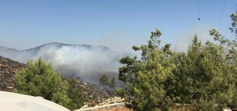 Bodrum’da orman yangını! Karadan ve havadan müdahale ediliyor