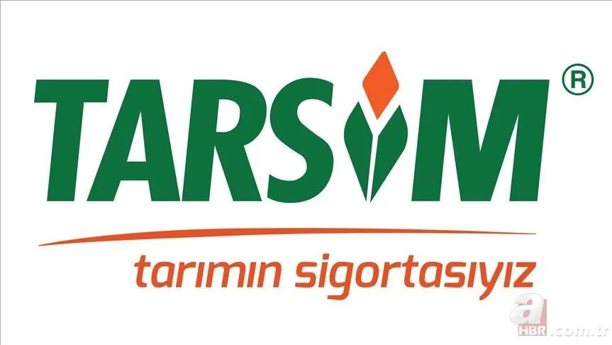 Çiftçinin zirai don zararı hesaplandı! Ürüne göre kime ne kadar ödenecek? Fındık, zeytin, kayısı… 2