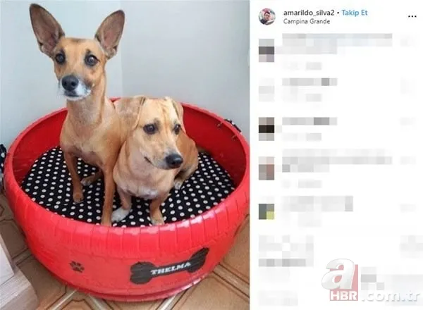 Eski lastikleri toplayıp bakın ne yaptı... 4