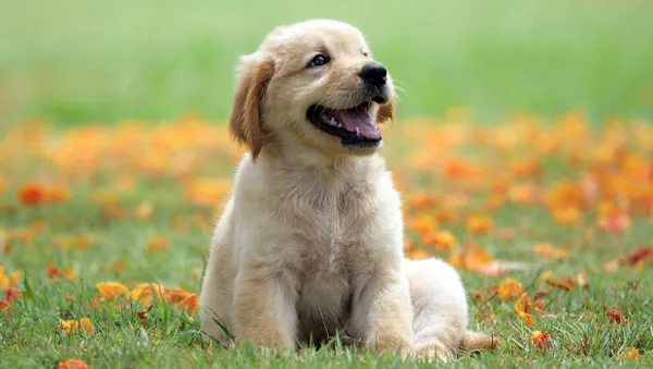 AK Parti Sözcüsü Ömer Çelik MYK toplantısı sonrası konuştu! CHP’nin Berat Albayrak iftiralarına sert tepki