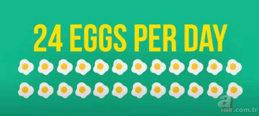 Bir ayda 700 yumurta yedi, kolestrolü düştü! Harvard öğrencisinin çılgın deneyi şaşırttı 2