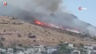 Türkbükü’nde makilik yangını