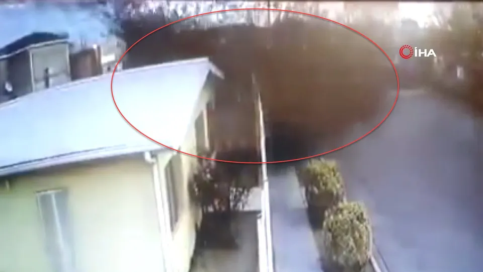 Meksika'da görenleri şoke eden olay! Kuş sürüsü aniden yere çakıldı