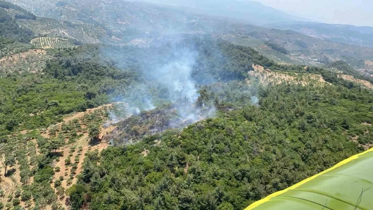 Aydın'daki orman yangını kontrol altına alındı