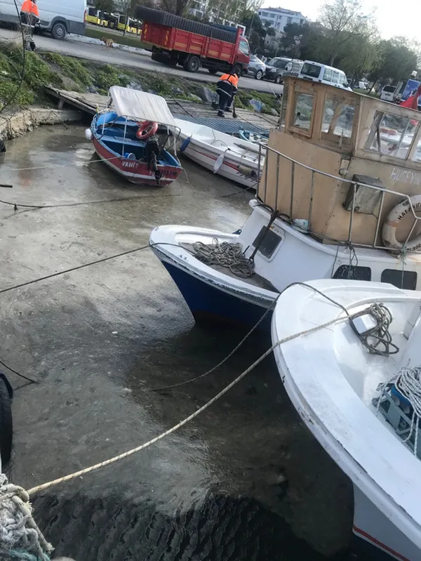 1615902591585.jpg Marmara Denizi'ndeki korkunç manzaranın nedeni belli oldu - 4