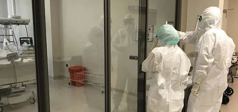 Hindistan'da Cammu Keşmir’de de olası kuş gribi salgını nedeniyle alarma geçildi