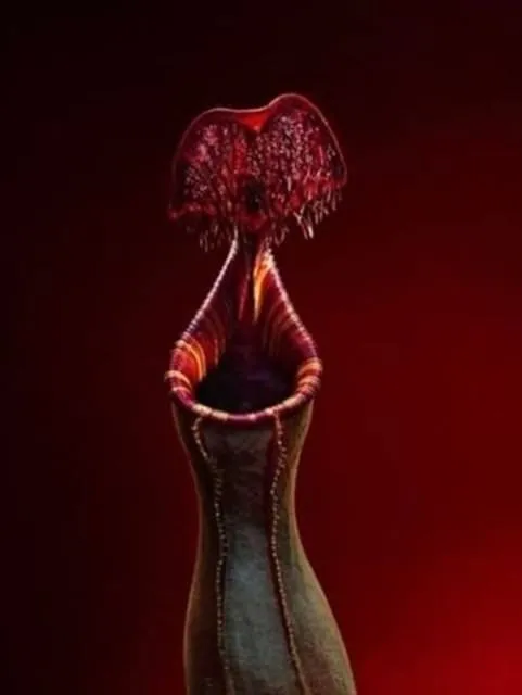 Birbirinden tuhaf bitkiler, sebze ve meyveler...