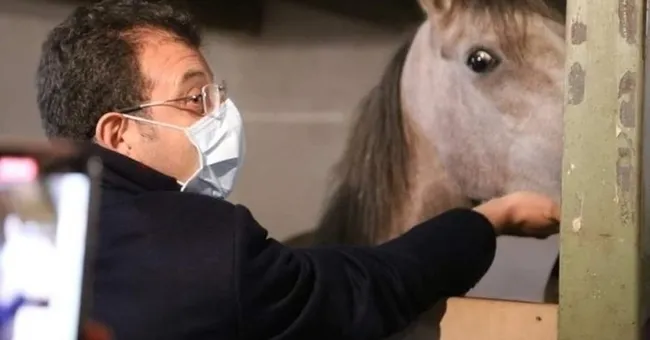 Adalar’da atları korumak için kurulan platform: İBB atları geri getirsin - 4