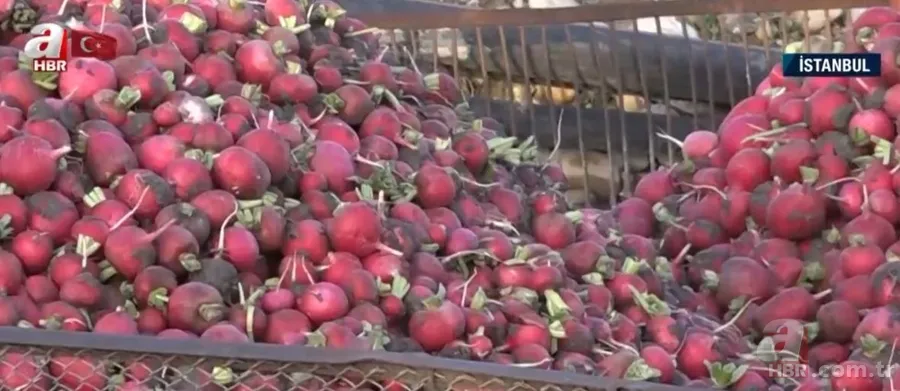 Mor renkte şifa var! Mor ve bordo sebzeler hastalıklarla savaşıyor 6