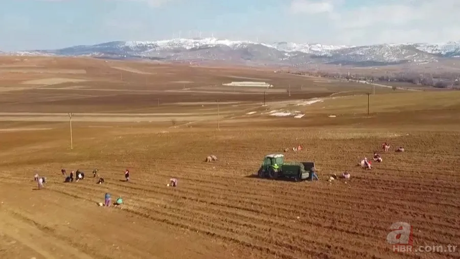 Mazotun tamamı, gübrenin yarısı devletten: Çiftçinin maliyeti düşecek 5