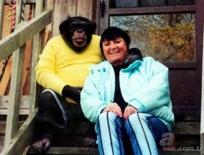 Evcil maymun genç kadını saniyeler içinde parçaladı! Kana susamış haldeydi | Dehşet dolu anların telefon kaydı kan dondurdu 1