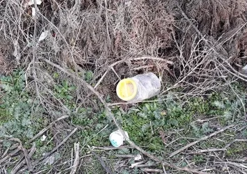 Vicdansızlar! Plastik bidonun içinden çıkan kan dondurdu