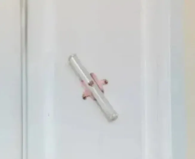 ABD tarihinin en güçlü Yahudi yönetimi geliyor! Kamala Harris’in etrafı Siyonistlerle dolu! İşte çemberdeki isimlerin kirli geçmişi...