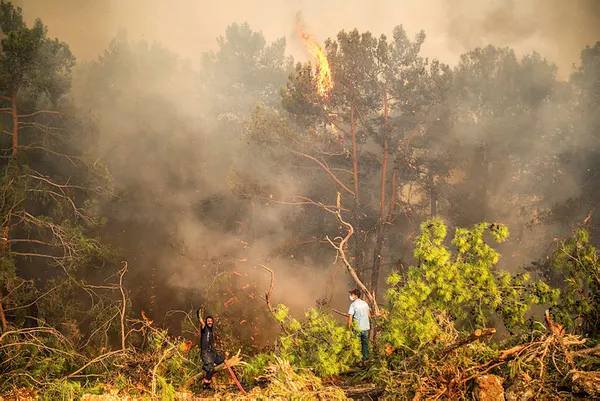 Tarım ve Orman Bakanı Bekir Pakdemirli ile İçişleri Bakanı Süleyman Soylu’dan yangınlara ilişkin son dakika açıklamaları