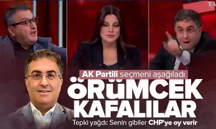 Ersan Şen’den AK Partili seçmene hakaret