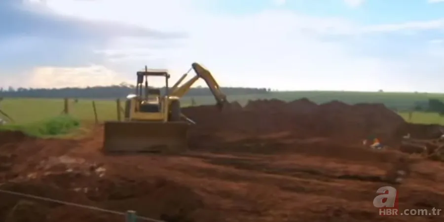 Karınca yuvasından sanat eseri çıktı 🐜 Vahşi doğanın usta mimarları! Otoban, yan yol ve patika bile yapmışlar 17