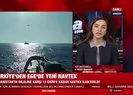 Türkiye’den Ege’de yeni NAVTEX ilanı