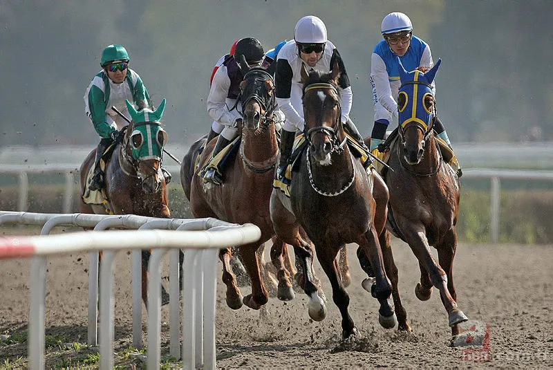 Gazi Koşusu ne zaman saat kaçta? 93. Gazi Koşusu hangi kanalda? 6