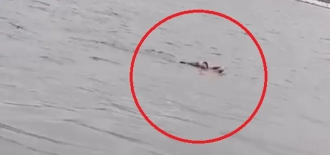 İstanbul’da korku dolu anlar! Vapurdan denize düşen yolcu böyle kurtarıldı! O anlar saniye saniye kamerada...