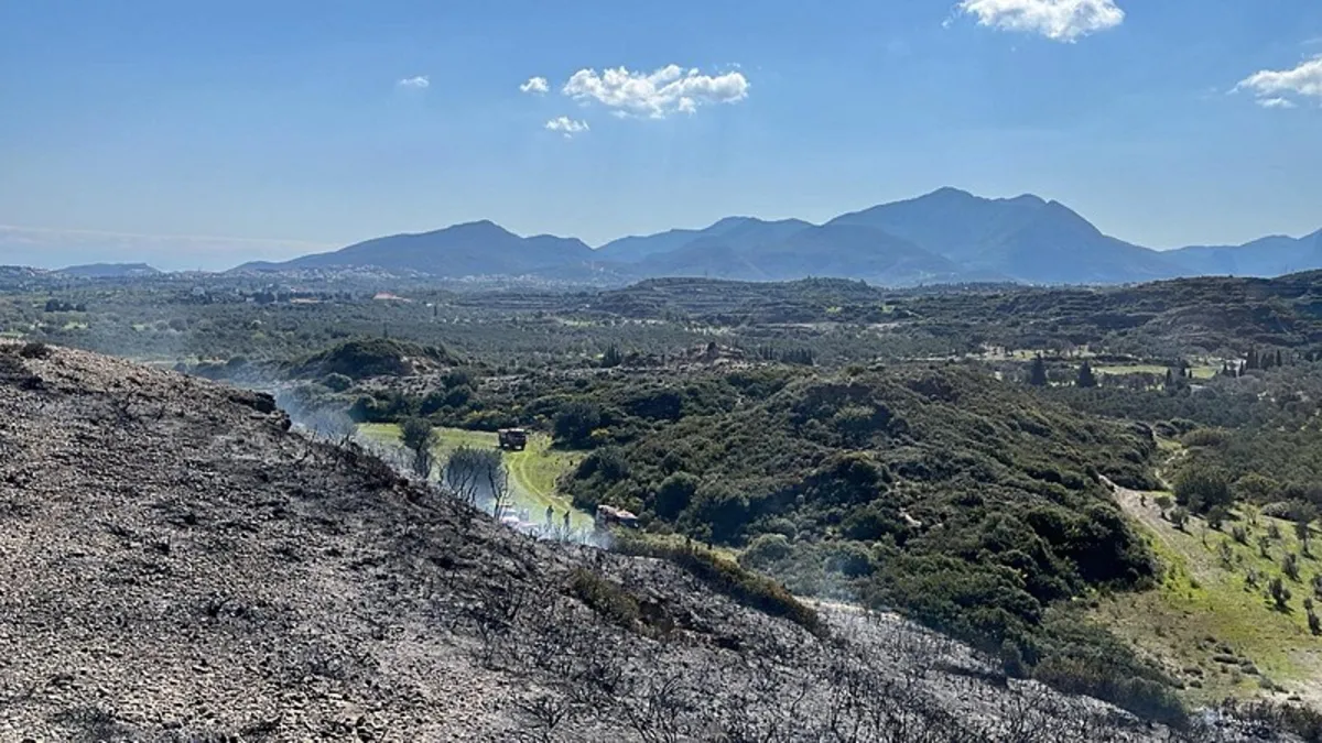 Muğla'da makilik alanda çıkan yangın söndürüldü