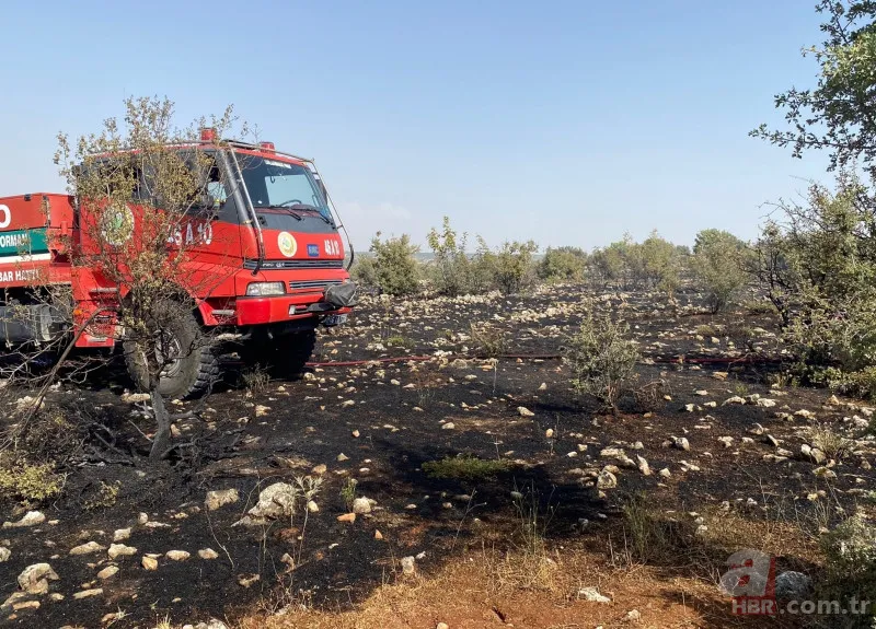 Kahramanmaraş'taki orman yangınının nedeni ortaya çıktı! Torpil şakası 80 hektarı küle döndürdü 12